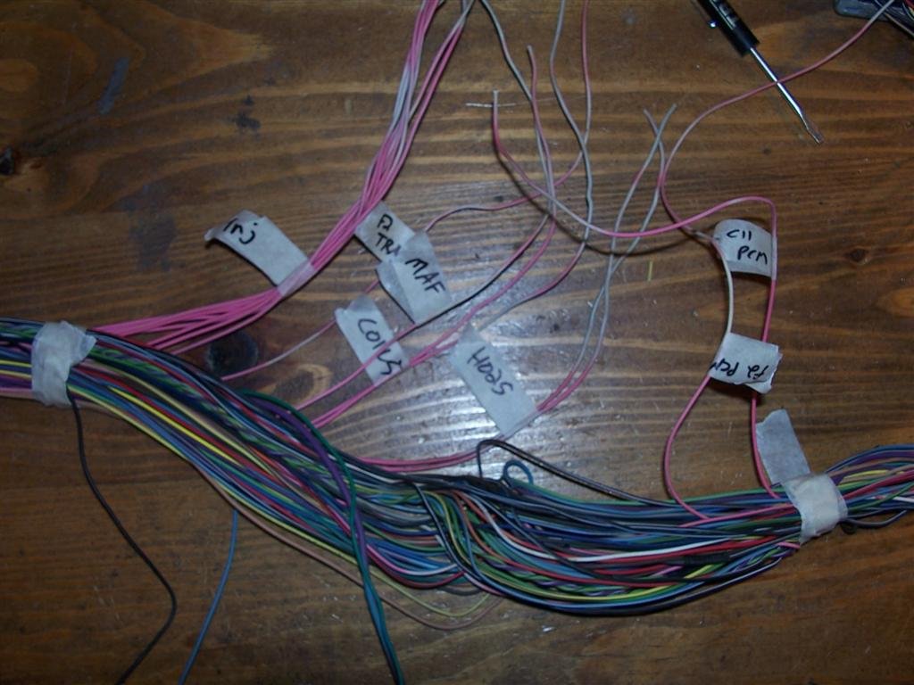 Vortec 4.8/5.3/6.0 Wiring Harness Info